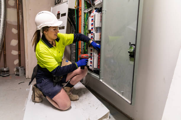 Best Electric Panel Repair  in Walden, TN